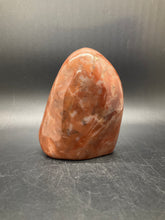 Load image into Gallery viewer, Petrified Wood Freeform