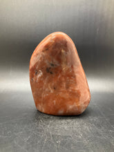 Load image into Gallery viewer, Petrified Wood Freeform