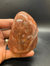 Load image into Gallery viewer, Petrified Wood Freeform