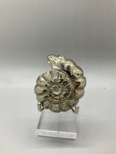 Load image into Gallery viewer, Pyrite Ammonite Carving