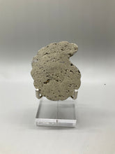 Load image into Gallery viewer, Pyrite Ammonite Carving