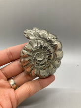 Load image into Gallery viewer, Pyrite Ammonite Carving