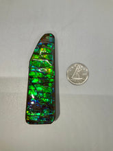 Load image into Gallery viewer, Ammolite