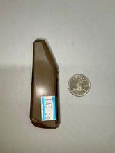 Load image into Gallery viewer, Ammolite