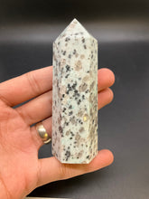 Load image into Gallery viewer, Kiwi Jasper Point