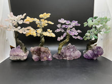 Load image into Gallery viewer, Feng Shui Fortune Tree - Medium