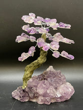 Load image into Gallery viewer, Feng Shui Fortune Tree - Medium