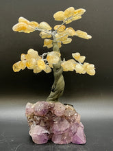 Load image into Gallery viewer, Feng Shui Fortune Tree - Medium