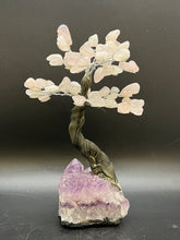 Load image into Gallery viewer, Feng Shui Fortune Tree - Medium