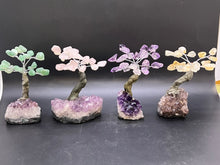 Load image into Gallery viewer, Feng Shui Fortune Tree - Small