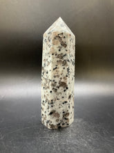 Load image into Gallery viewer, Kiwi Jasper Point