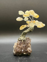 Load image into Gallery viewer, Feng Shui Fortune Tree - Small