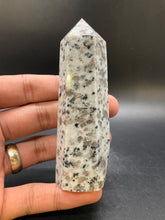 Load image into Gallery viewer, Kiwi Jasper Point