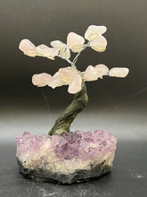 Load image into Gallery viewer, Feng Shui Fortune Tree - Small