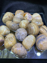 Load image into Gallery viewer, Picture Jasper Tumbled