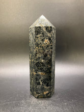 Load image into Gallery viewer, Kambaba Jasper Points