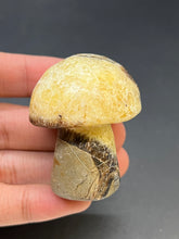 Load image into Gallery viewer, Septarian Mushroom