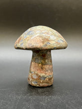 Load image into Gallery viewer, Que Sera Mushroom