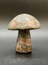 Load image into Gallery viewer, Que Sera Mushroom