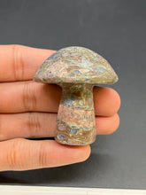Load image into Gallery viewer, Que Sera Mushroom