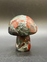 Load image into Gallery viewer, Seftonite Mushroom