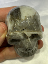 Load image into Gallery viewer, Shell Jasper Skull
