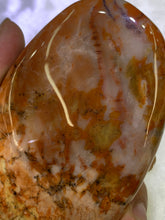 Load image into Gallery viewer, Petrified Wood Freeform