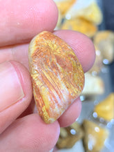 Load image into Gallery viewer, Fossil Coral Tumbled - 2 Stones