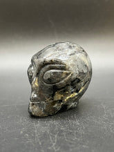 Load image into Gallery viewer, Larvakite Alien Head