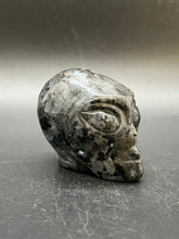 Load image into Gallery viewer, Larvakite Alien Head
