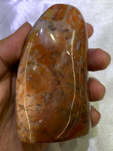 Load image into Gallery viewer, Petrified Wood Freeform