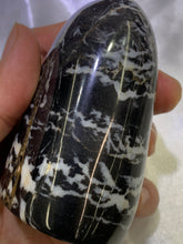 Load image into Gallery viewer, Shell Jasper Freeform