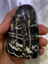 Load image into Gallery viewer, Shell Jasper Freeform