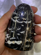 Load image into Gallery viewer, Shell Jasper Freeform