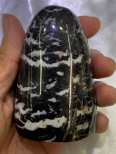 Load image into Gallery viewer, Shell Jasper Freeform