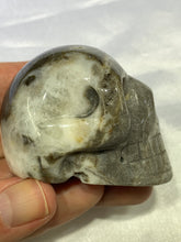 Load image into Gallery viewer, Shell Jasper Skull