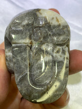 Load image into Gallery viewer, Shell Jasper Skull