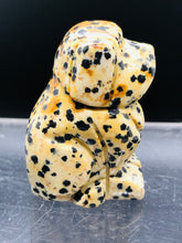 Load image into Gallery viewer, Dalmatian Jasper Dog