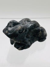 Load image into Gallery viewer, Larvakite Frog