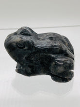 Load image into Gallery viewer, Larvakite Frog