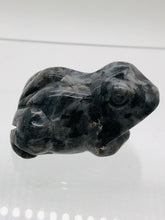 Load image into Gallery viewer, Larvakite Frog