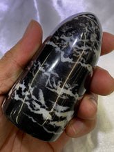 Load image into Gallery viewer, Shell Jasper Freeform