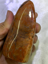 Load image into Gallery viewer, Petrified Wood Freeform