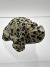 Load image into Gallery viewer, Dalmatian Jasper Turtle