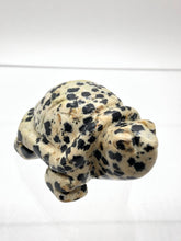 Load image into Gallery viewer, Dalmatian Jasper Turtle