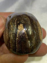 Load image into Gallery viewer, Bolder Opal Skull