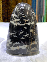 Load image into Gallery viewer, Shell Jasper Freeform