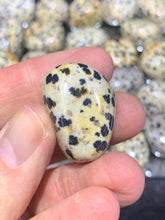Load image into Gallery viewer, Dalmatian Jasper Tumbled