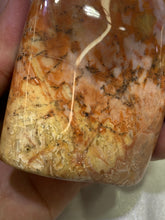 Load image into Gallery viewer, Petrified Wood Freeform