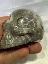 Load image into Gallery viewer, Shell Jasper Skull